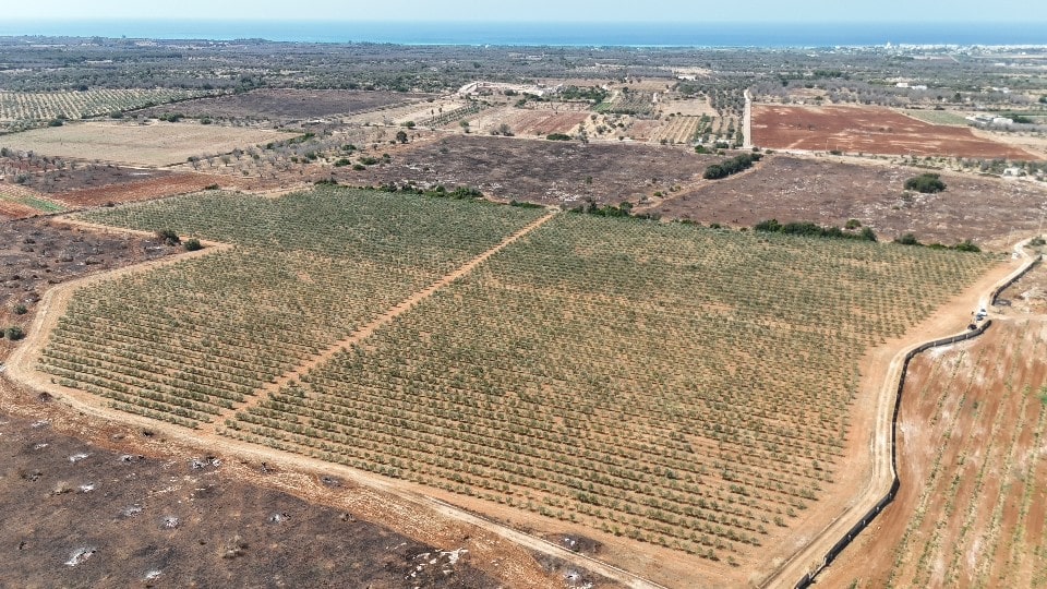 Giano Group Immobiliare